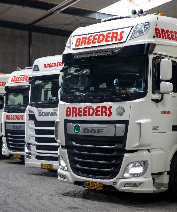 Camions d'élevage dans le garage