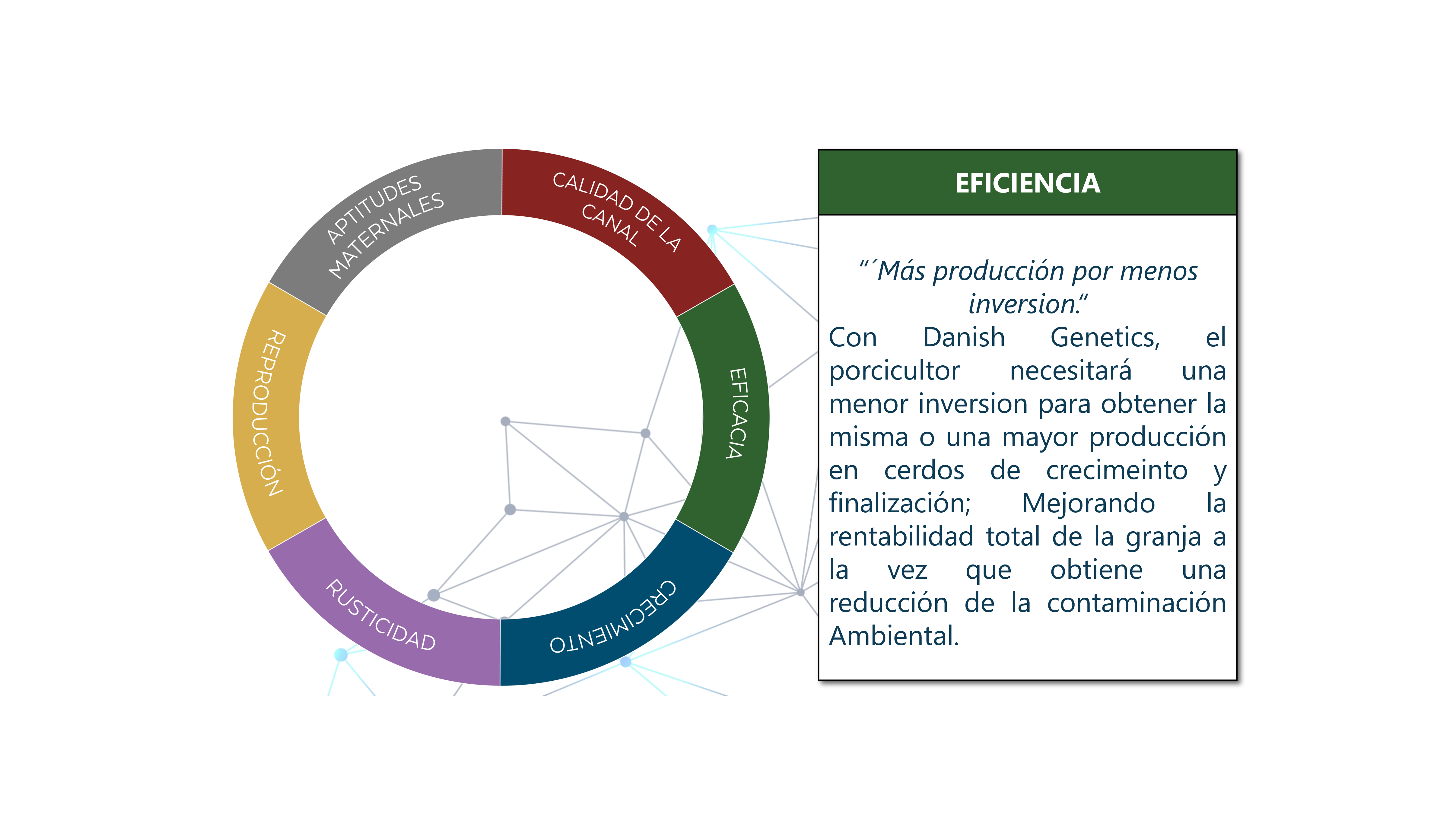 Objetivos de cría Inglés