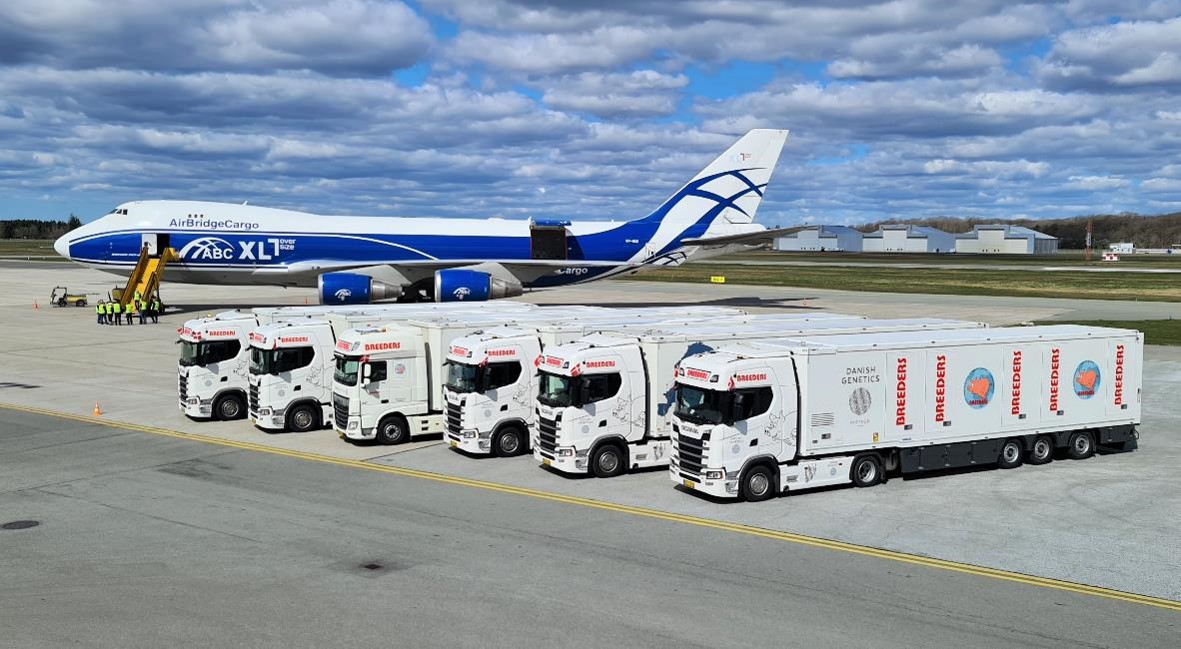 Селекционные грузовики с самолетом