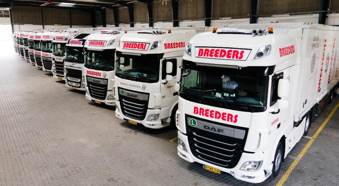 Twelve 12 Breeders trucks