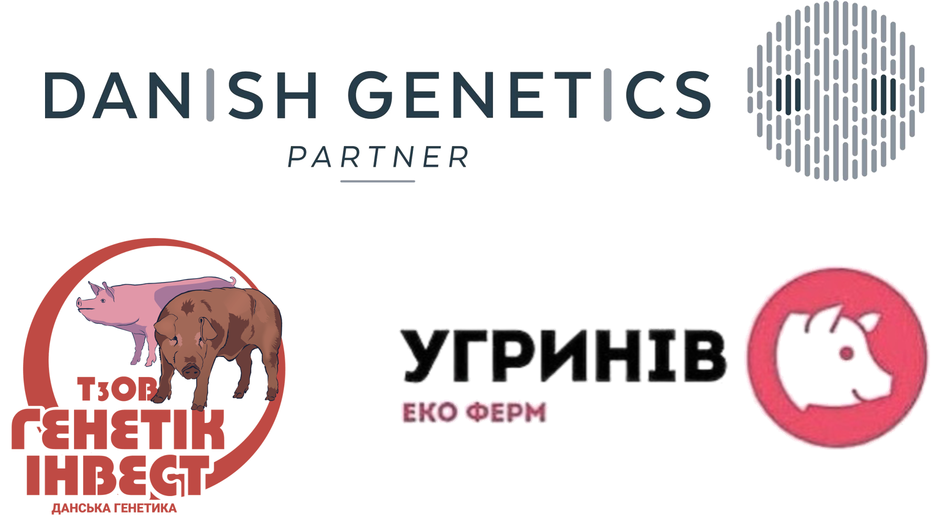 Партнер Danish Pig Genetics - логотип
