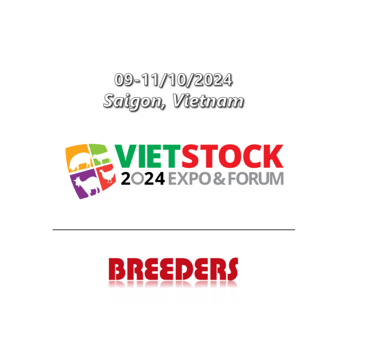 Événement_VietStock 2024