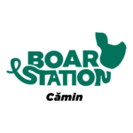 Logo Boar Station Camin